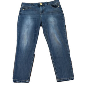 DEMOCRACY Ab Solution Straight leg Distressed Jeans size 14